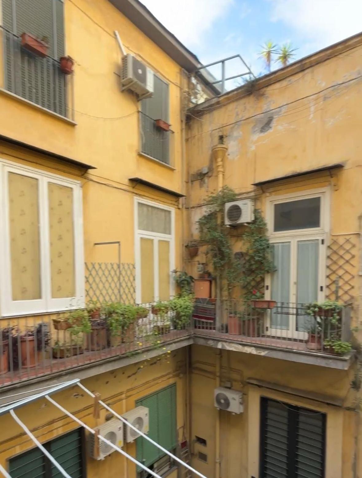 Domus 203 Apartment